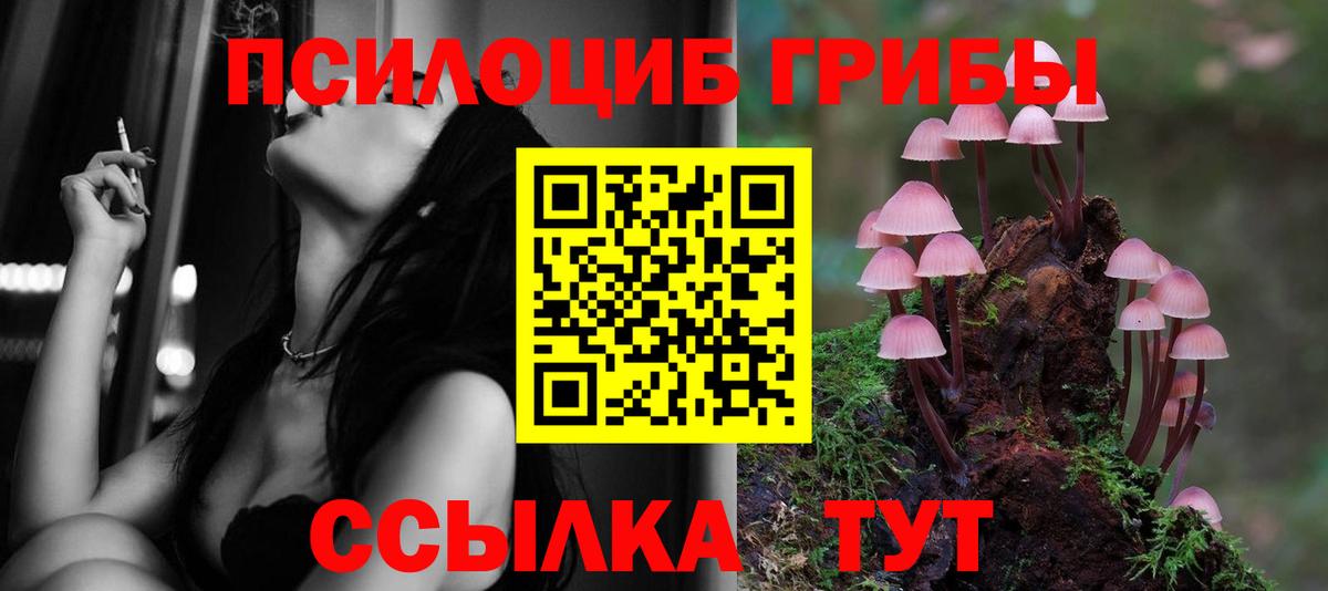 Тамбов  Псилоцибиновые грибы Cubensis  Вход с VPN  Псилоцибиновые грибы прущие грибы 